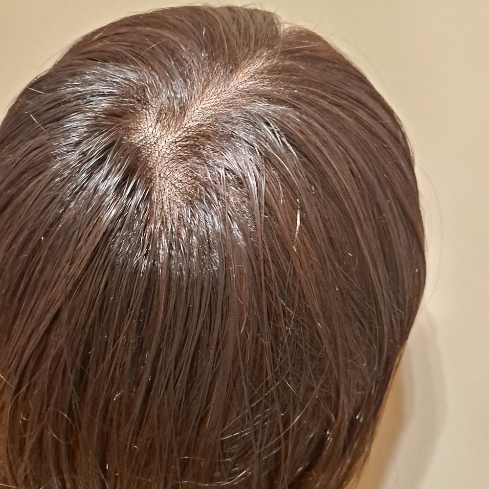 Limelight Raquel Welch Synthetic Wig RL2/4 Like New - Picture 5 of 8
